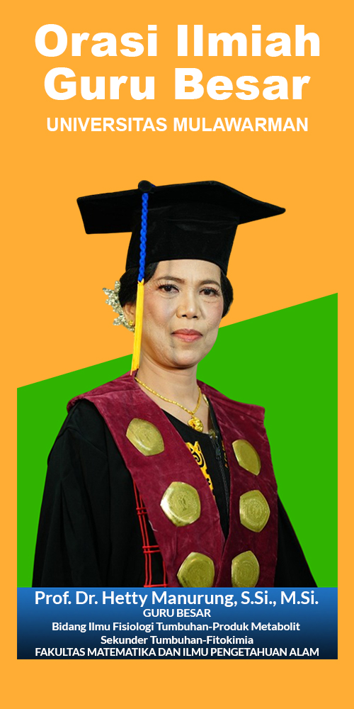 Prof. Dr. Hetty Manurung, S.Si., M.Si.